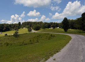 5.38+/-acres Offering stunning, pristine bluff views