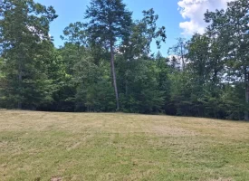 5.38+/-acres Offering stunning, pristine bluff views