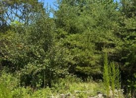 5.06+/-acres Unrestricted wooded tract located in Sequatchie TN.
