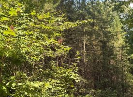 5.06+/-acres Unrestricted wooded tract located in Sequatchie TN.
