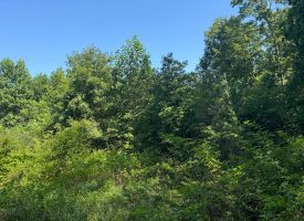 5.06+/-acres Unrestricted wooded tract located in Sequatchie TN.