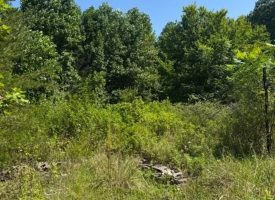 5.06+/-acres Unrestricted wooded tract located in Sequatchie TN.
