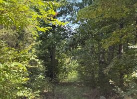 5.06+/-acres Unrestricted wooded tract located in Sequatchie TN.