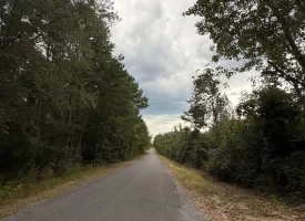 Beautiful 5+/-acre tract on Bethel Road in Hammondville, AL