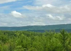 Beautiful 5+/-acre tract on Bethel Road in Hammondville, AL