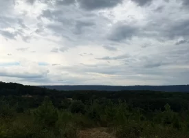 Beautiful 5+/-acre tract on Bethel Road in Hammondville, AL
