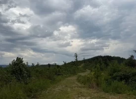 Beautiful 5+/-acre tract on Bethel Road in Hammondville, AL