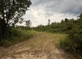 Beautiful 5+/-acre tract on Bethel Road in Hammondville, AL